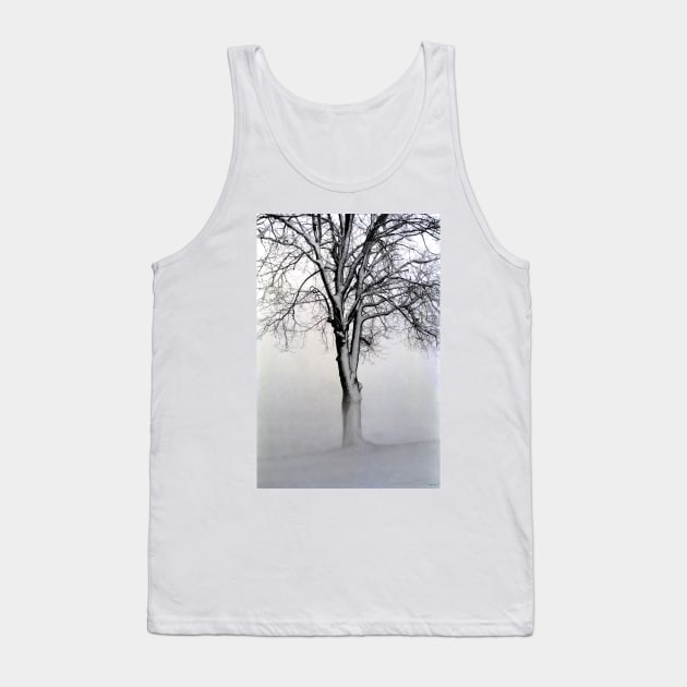 The Winter Tree Tank Top by BrianPShaw